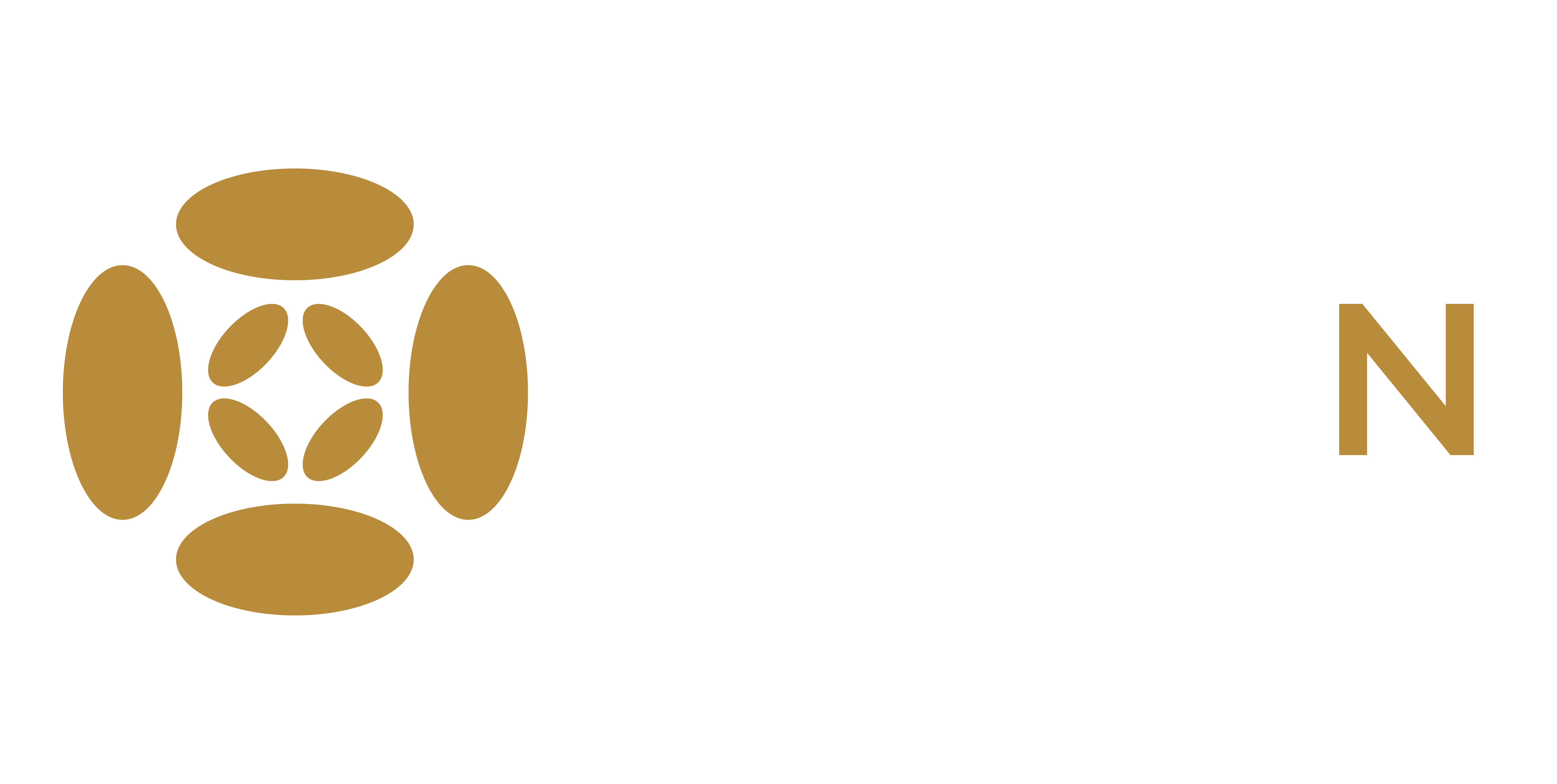 ProxyN.ai